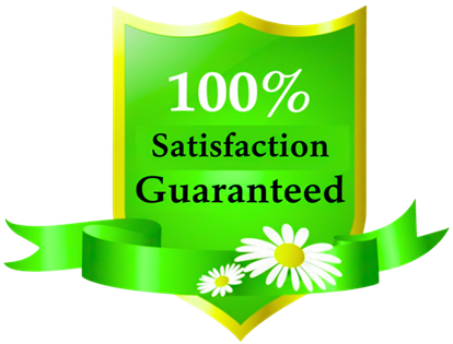 Guaranteed Satisfied SEO Services